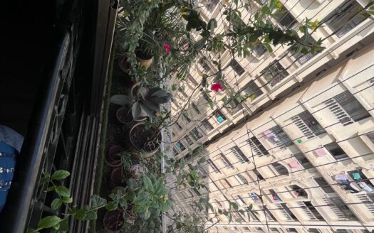 Chandivali, Andheri East