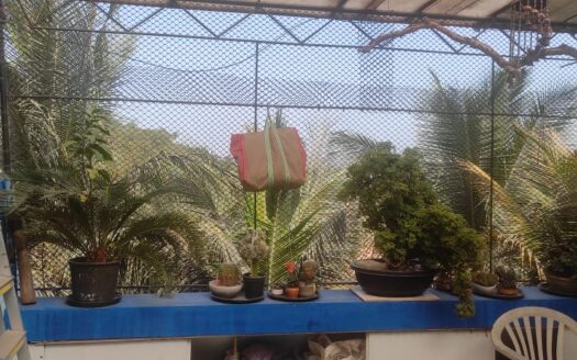 Rowhouse in marol andheri east